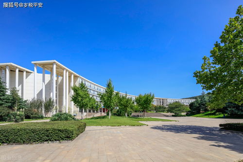 重庆软件开发公司节税的正确打开方式