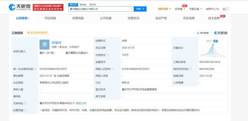 重庆软件开发 西部创新高地与产业转型升级的引擎