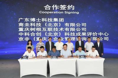赛仕（重庆）大数据与重庆软件开发 赋能数字经济新引擎